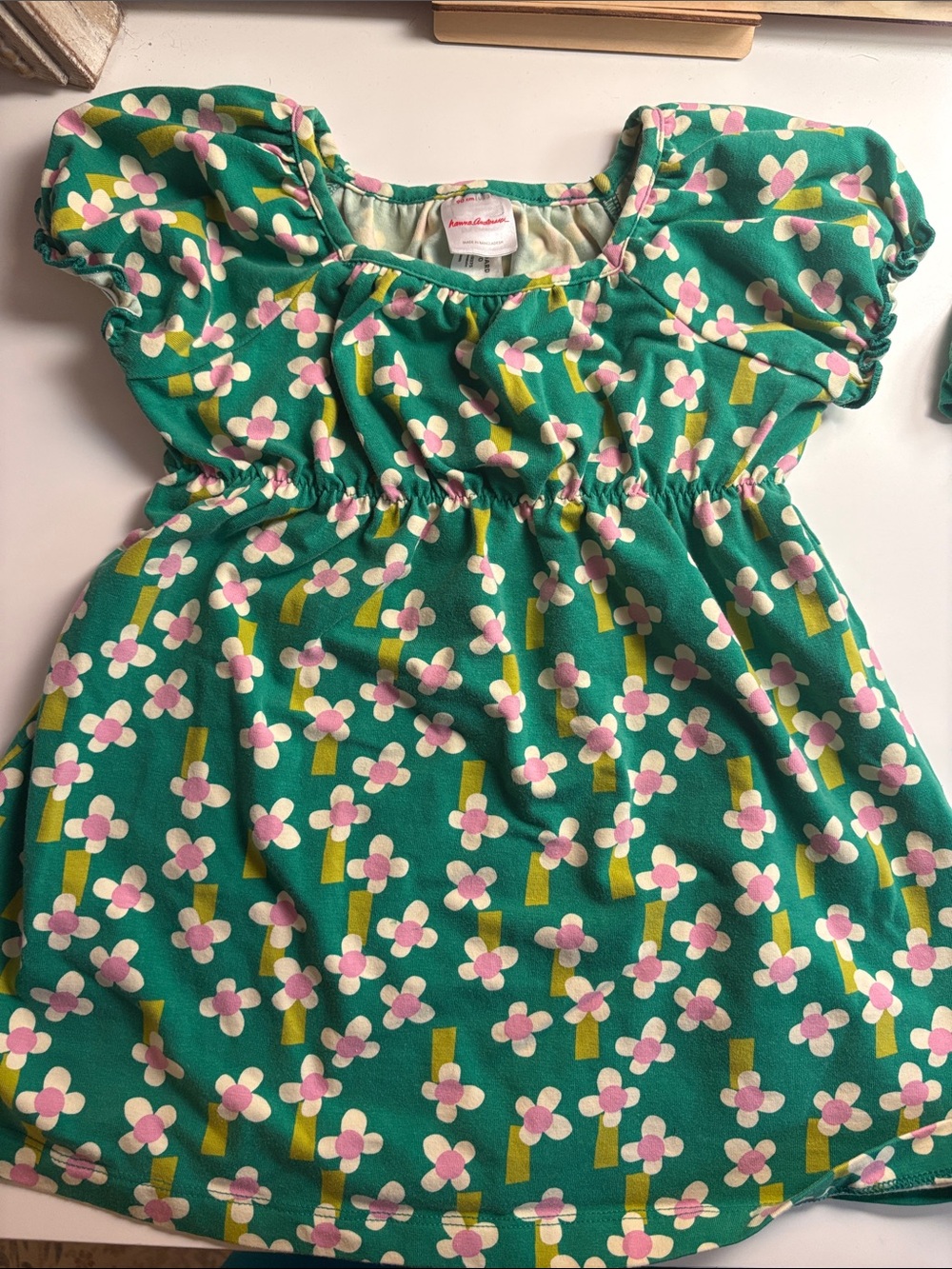 Hanna Andersson Green Floral Dress